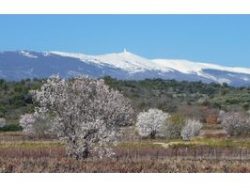 Le Mont Ventoux