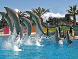 Marineland