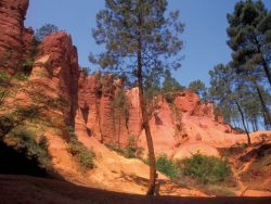 Roussillon