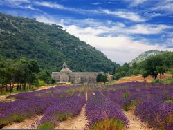 Le Luberon