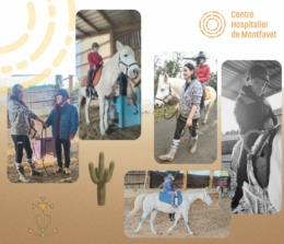 Quand le cheval prend soin de l’humain