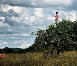 L’atelier « Papiers de soi » du CH de Montfavet participe au Printemps des poètes 2026