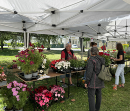 Grand succès pour les premières Floralies du CLOS