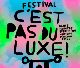 Retrouvez le CH de Montfavet au Festival C’est pas du luxe !